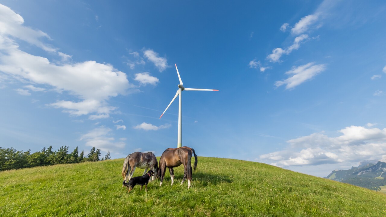 Das Windrad Lutersarni produziert bereits seit 2013 Strom.