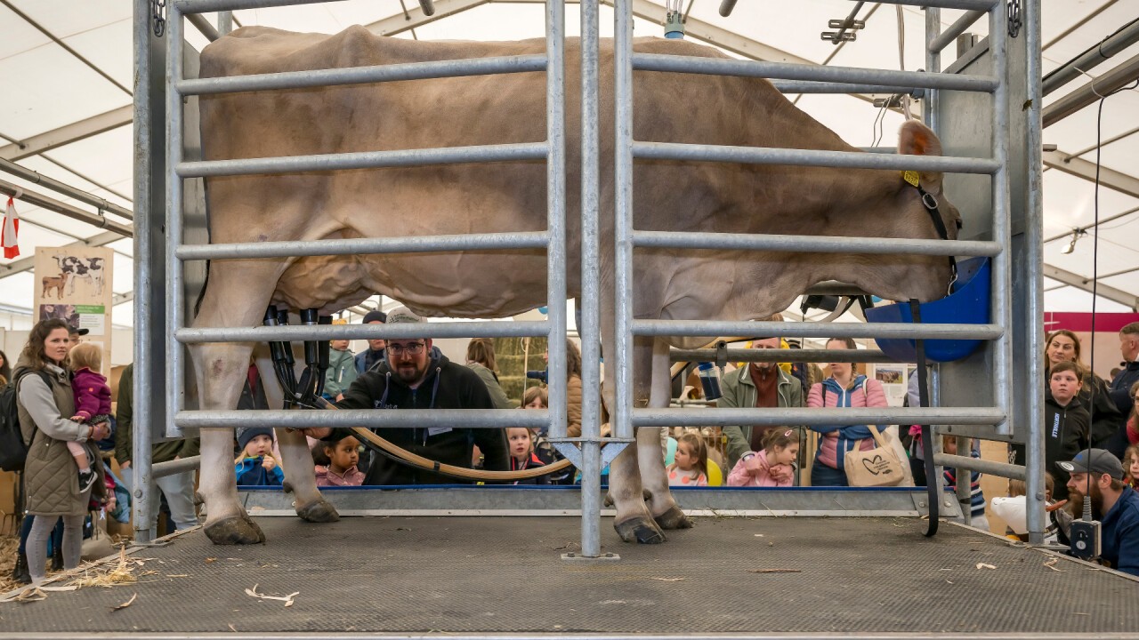 Wie kommt die Milch ins Glas? Erfahre es beim täglichen Schaumelken.