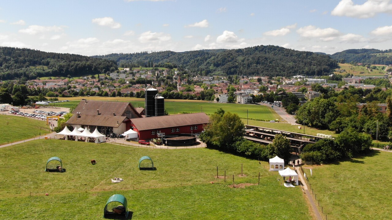 Die beef.ch Gelände am Strickhof in Wülflingen im Sommer 2022. (Foto: Katrin Müller)