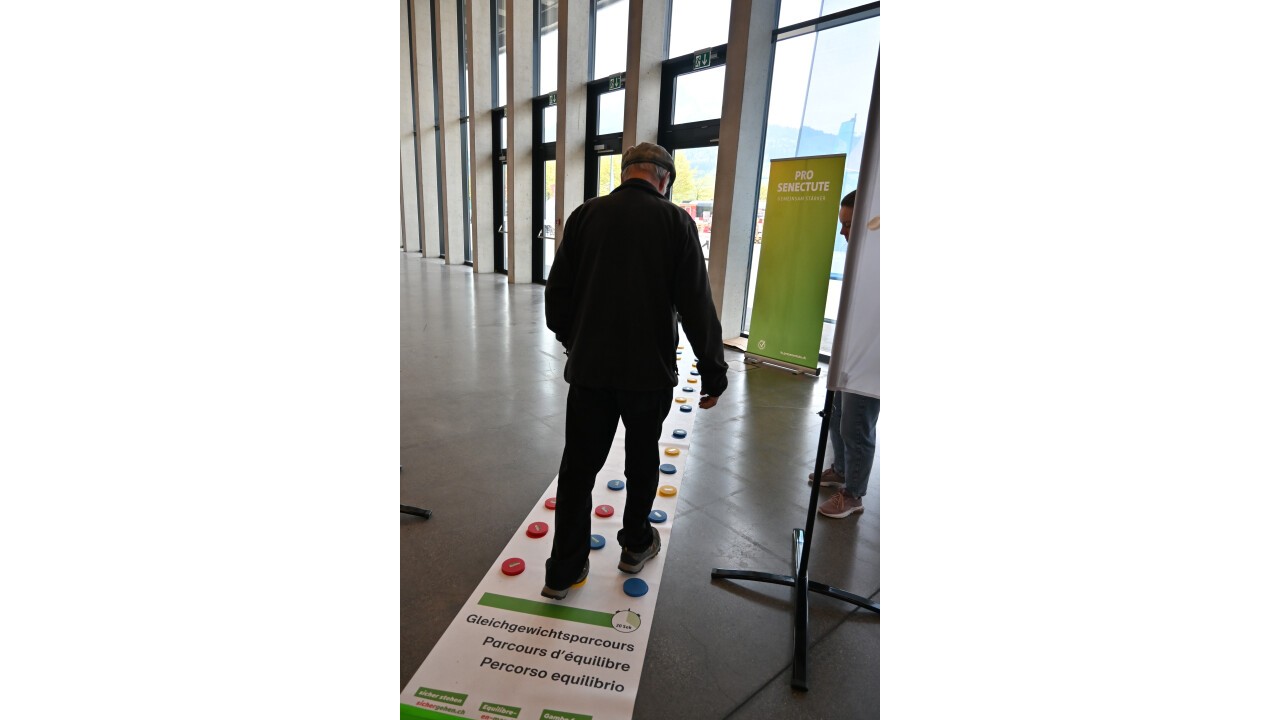Der Balanceteppich an der Luga.