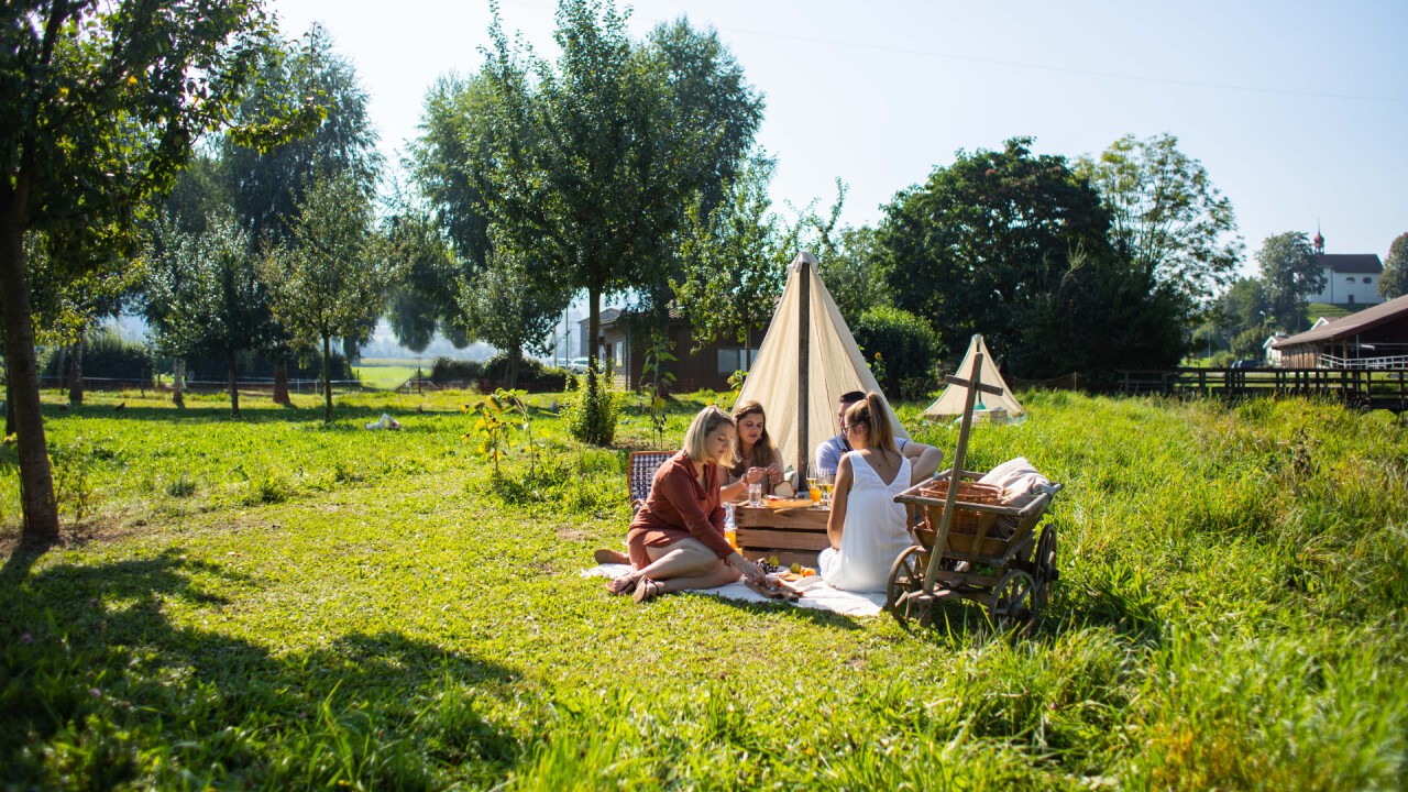 Picknick auf unserer Wiese - ein Geheimtipp!
