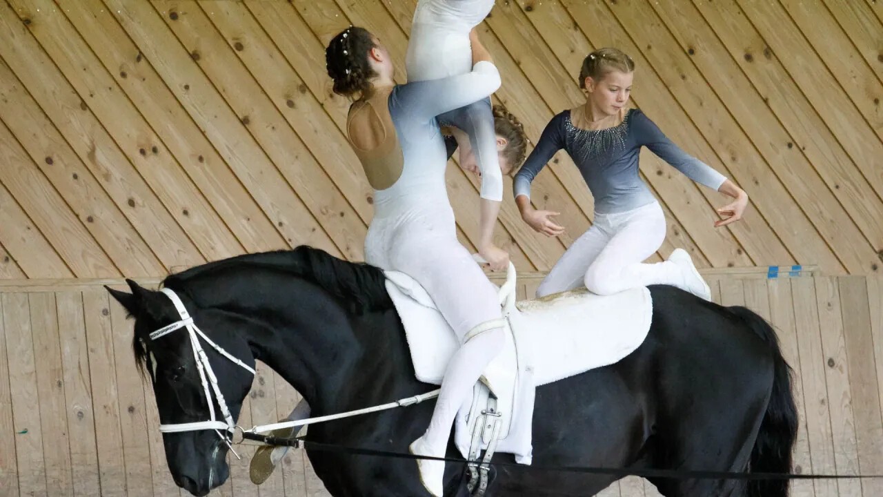 Erlebe akrobatische Turnkunst hoch zu Pferd bei den Voltige-Vorführungen auf dem Reitplatz.