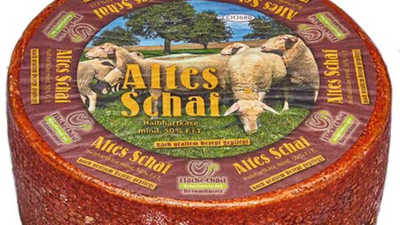 Bronze beim WCCC mit Altes Schaf