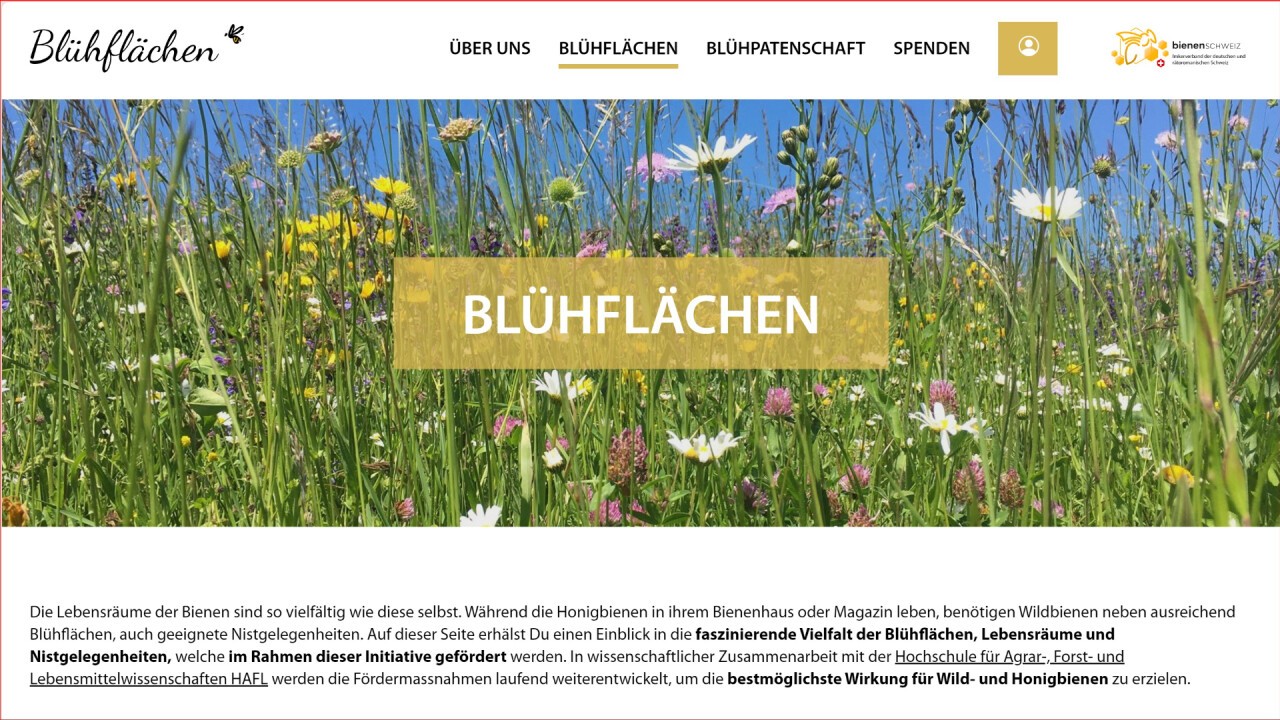 Besonders in den Sommermonaten fehlt es an ganzjährigen, blühenden Nahrungsquellen für Honig- und Wildbienen. In den aufgeräumten Landschaften sind kaum Nistgelegenheiten zu finden. Mit der Schaffung von Blühflächen und Lebensräumen wollen wir die Lebensgrundlagen für Bienen und andere Bestäuber verbessern und die Biodiversität fördern.