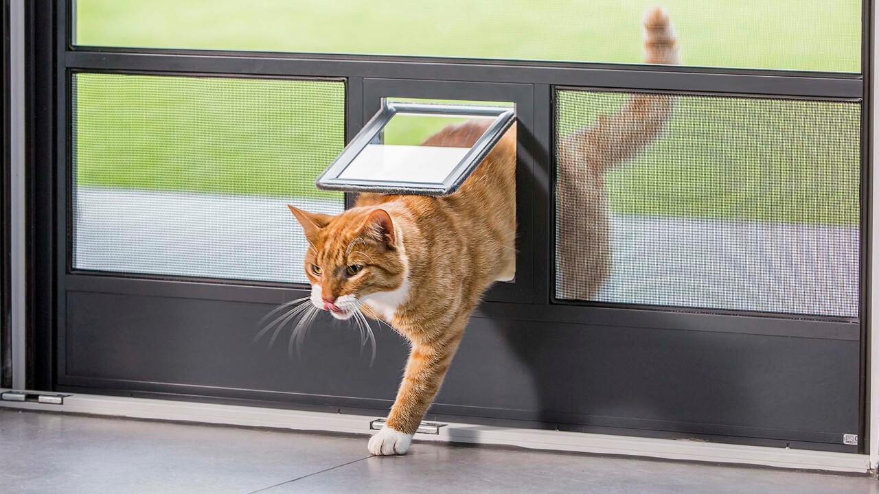 Pendeltüre mit Katzenklappe
