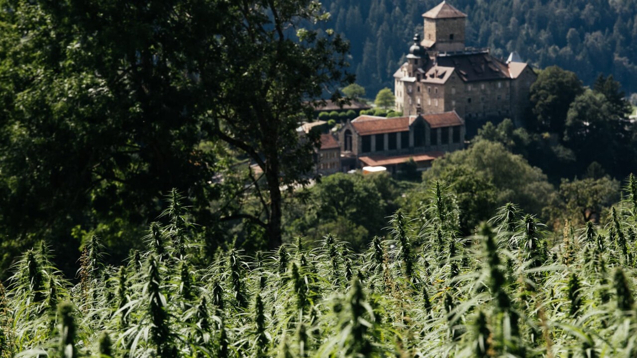 AlpenPionier arbeitet derweil schweizweit mit über 30 Bio-Bauernbetrieben zusammen.
