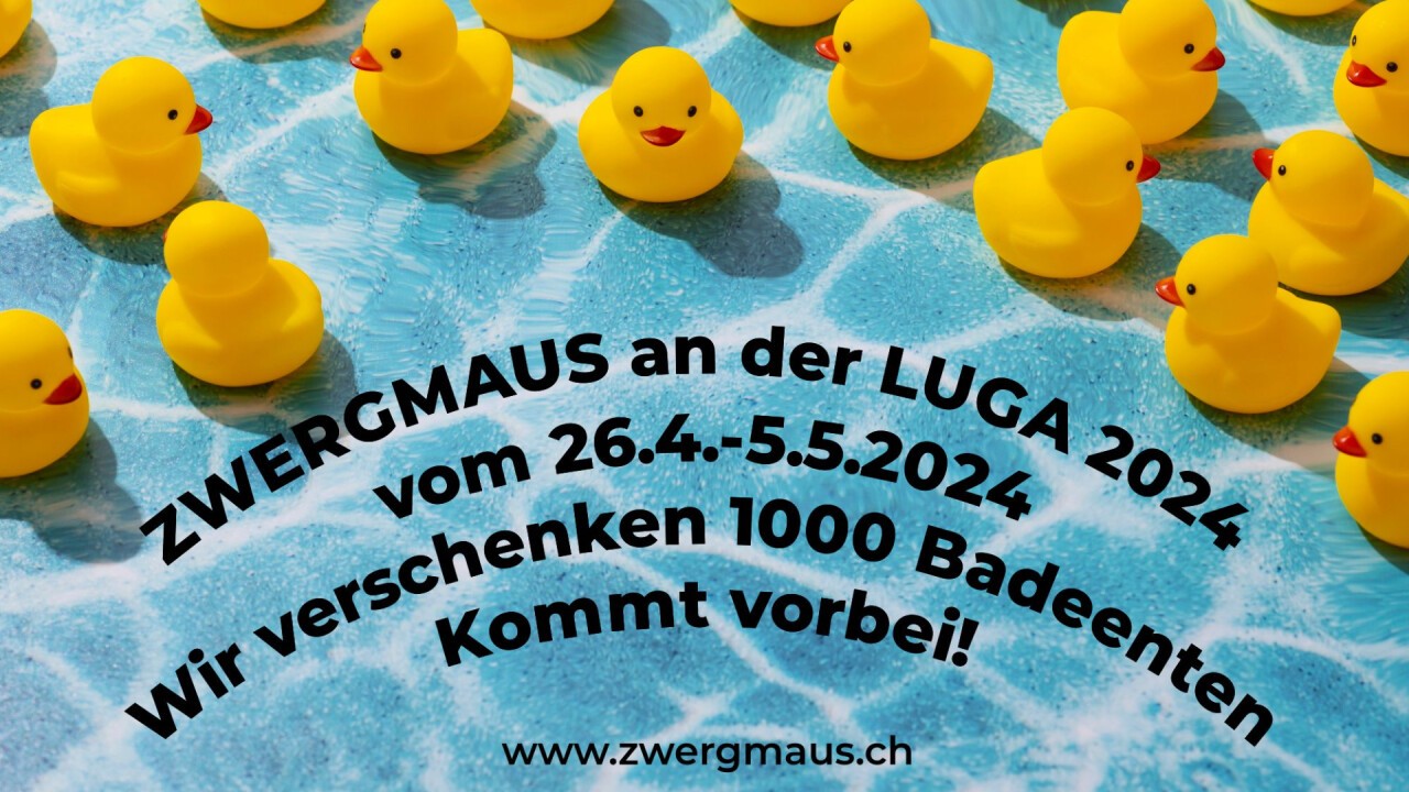 Schwimmschule ZWERGMAUS brütet Badeenten für die LUGA 2024