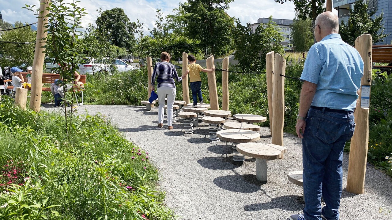 Blätterteppich - über Seerosen laufen 