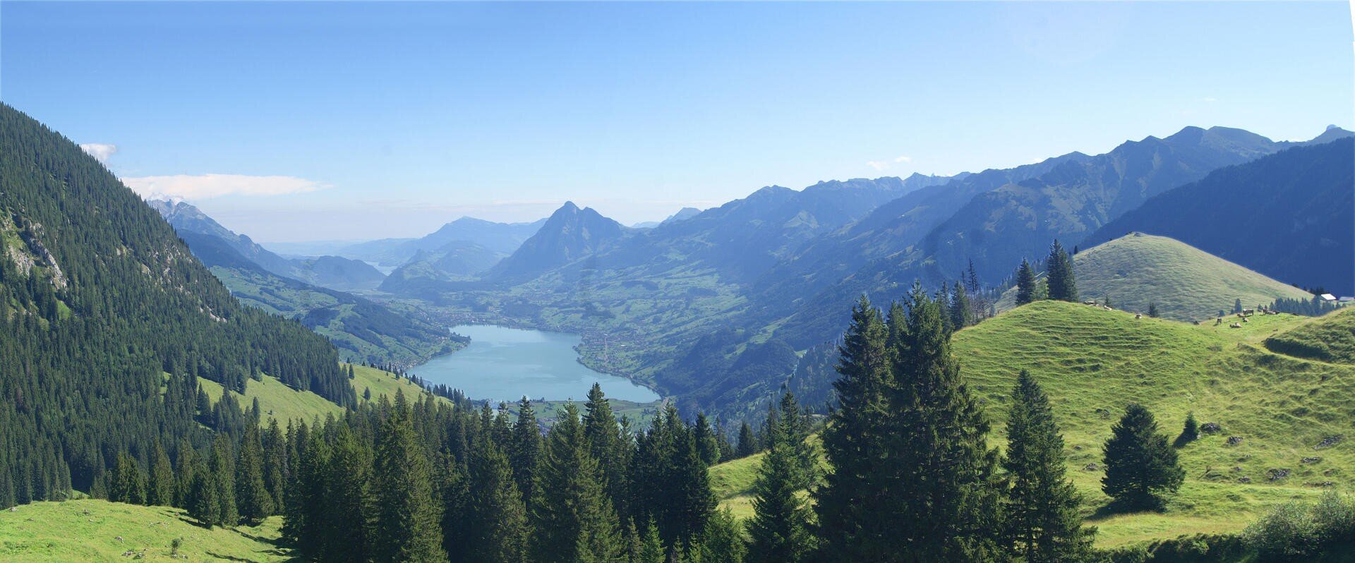 Ein Panoramablick auf ein üppig grünes Tal mit einem See, umgeben von bewaldeten Hügeln und fernen Bergen unter einem klaren blauen Himmel.
