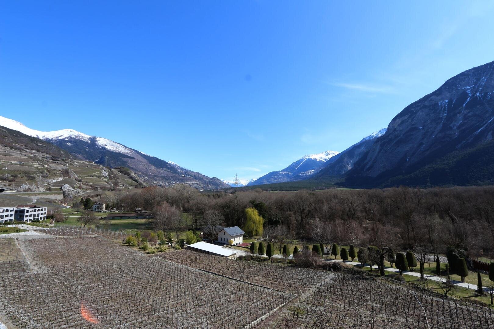 Weinberge und Felder erstrecken sich über ein von blattlosen Bäumen gesäumtes Tal, in dem sich zu beiden Seiten schneebedeckte Berge unter einem klaren blauen Himmel erheben. Inmitten des Grüns sind ein kleines Haus und mehrere Gebäude zu sehen.