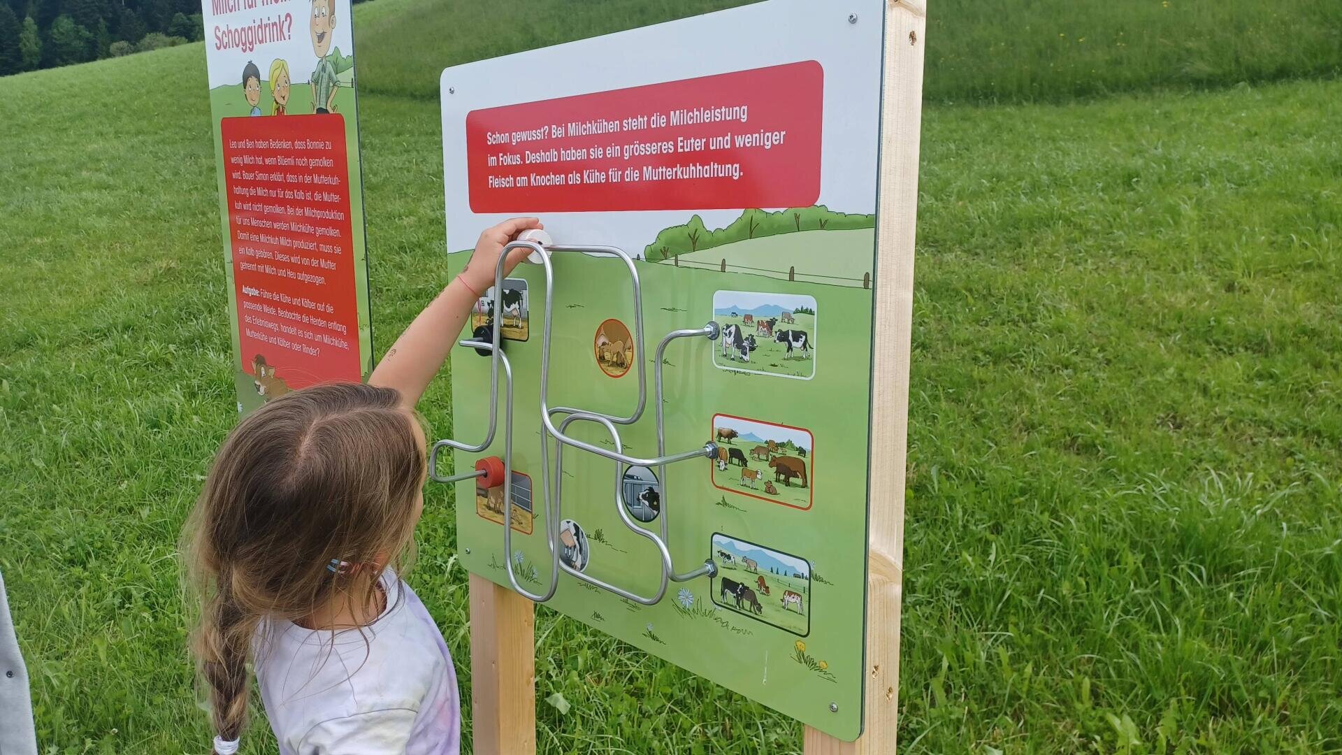Ein junges Mädchen interagiert mit einer Lehrtafel auf einer Wiese und bewegt einen Metallschieber durch Bilder von Bauernhoftieren und Landschaften als Teil einer Aktivität.
