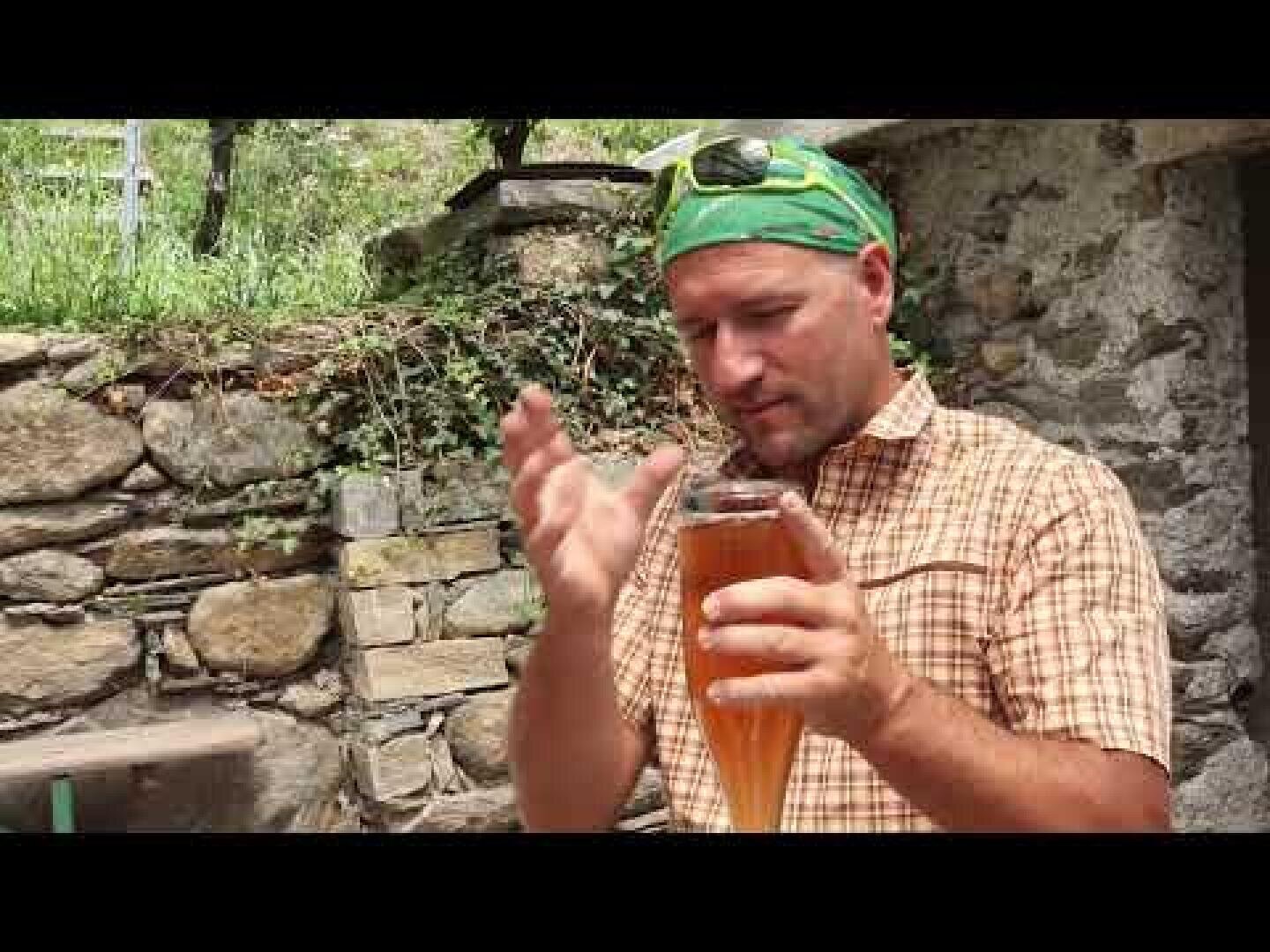 Ein Mann mit grünem Halstuch und kariertem Hemd untersucht ein Glas mit bernsteinfarbener Flüssigkeit im Freien, mit einer Steinmauer und Grünpflanzen im Hintergrund.