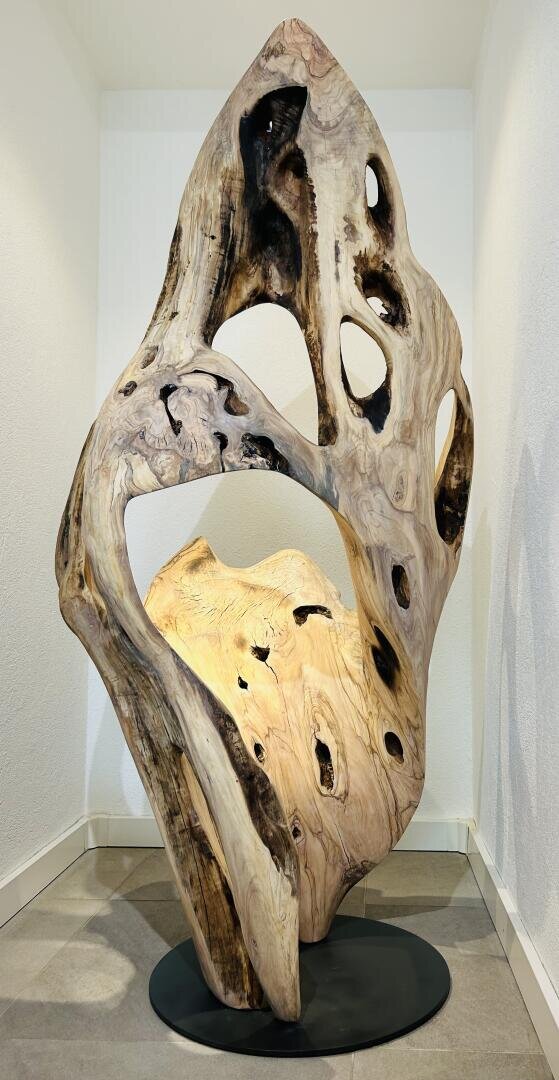 Eine große, abstrakte Holzskulptur mit sanften, fließenden Kurven und mehreren Löchern steht auf einem dunklen, ovalen Sockel in einem Raum mit weißen Wänden und gefliestem Boden. Das Holz hat verschiedene Naturtöne und dunkel verkohlte Stellen.