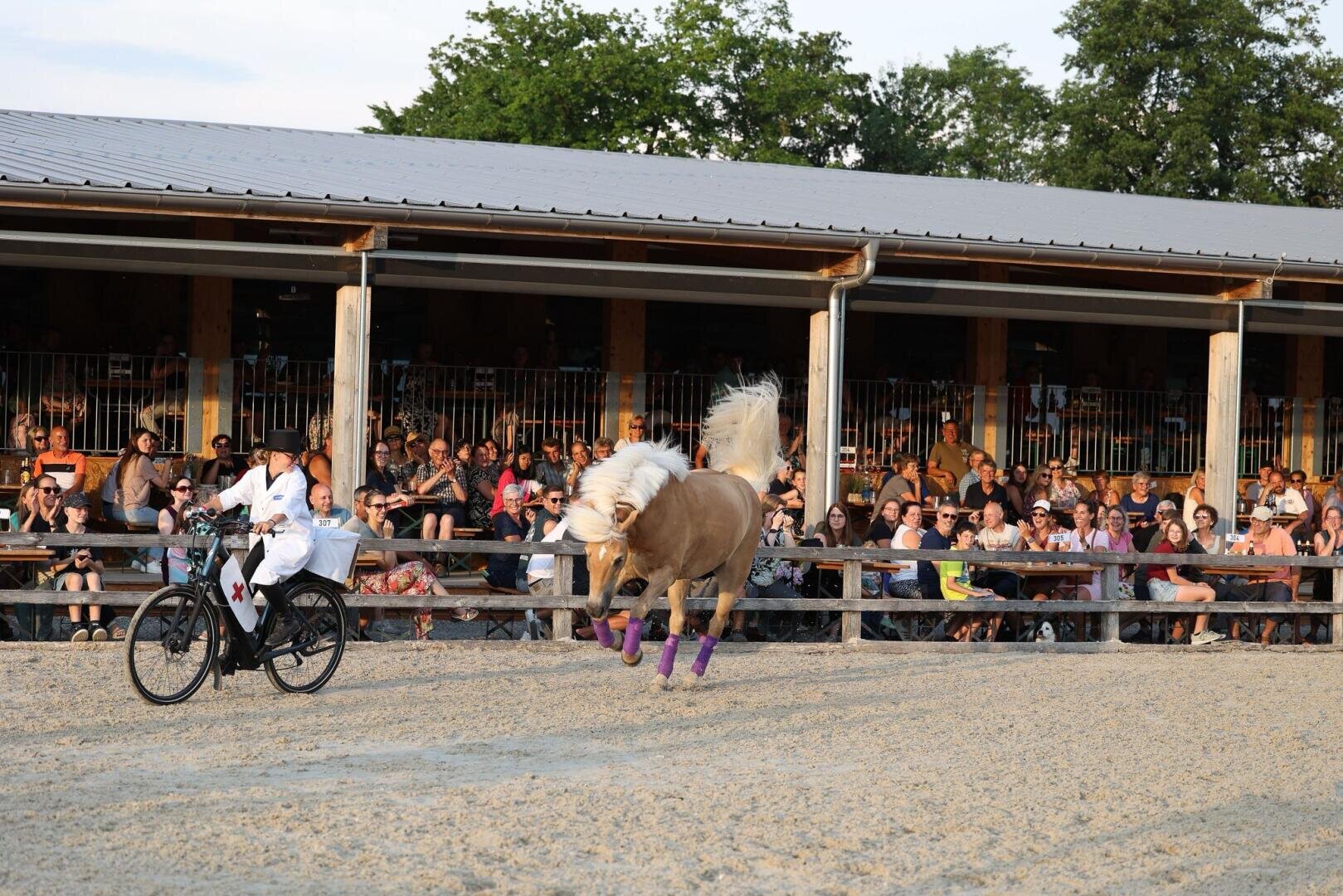Ein hellbraunes Pferd mit weißer Mähne und lilafarbenen Beinumschlägen tritt in einer Arena die Hinterbeine hoch, während eine weiß gekleidete Person es neben einem Fahrrad führt. Die Zuschauer schauen von den Tribünen im Hintergrund zu.