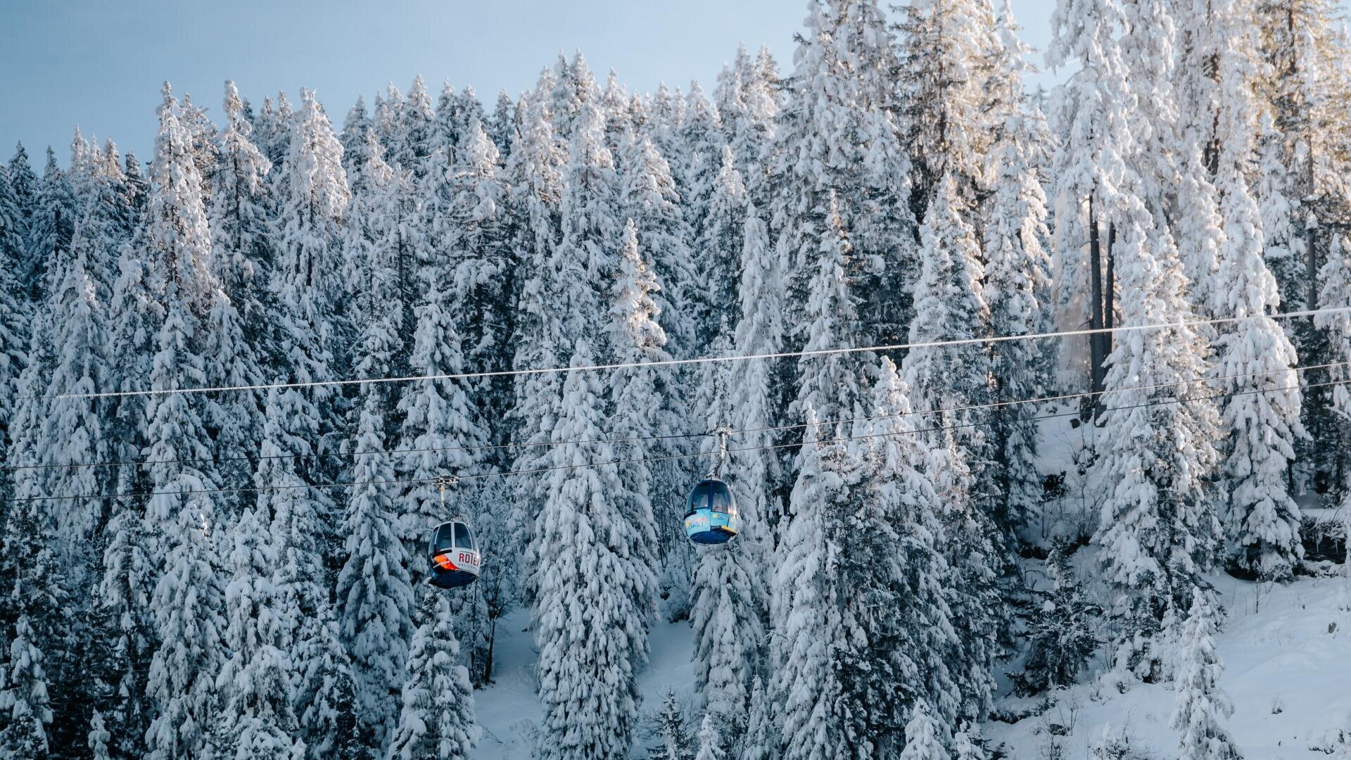 Zwei Seilbahnen fahren über verschneite, winterliche Tannenbäume in einem Wald. Die Bäume sind dick mit Schnee bedeckt, und der Himmel darüber ist klar und hellblau.