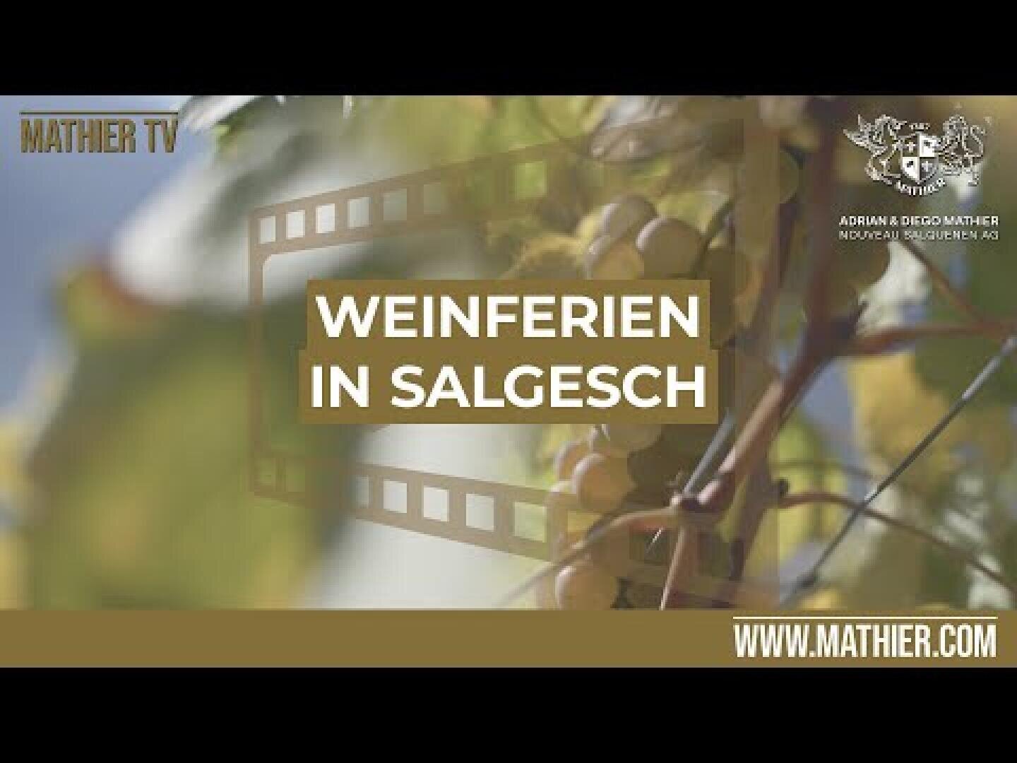 Nahaufnahme von Weinstöcken mit einer Filmstreifengrafik überlagert. Der Text auf Deutsch lautet: Weinferian in Salgesch. Ebenfalls zu sehen sind Logos und die Website mathier.com, die für Weinferien in Salgesch wirbt.