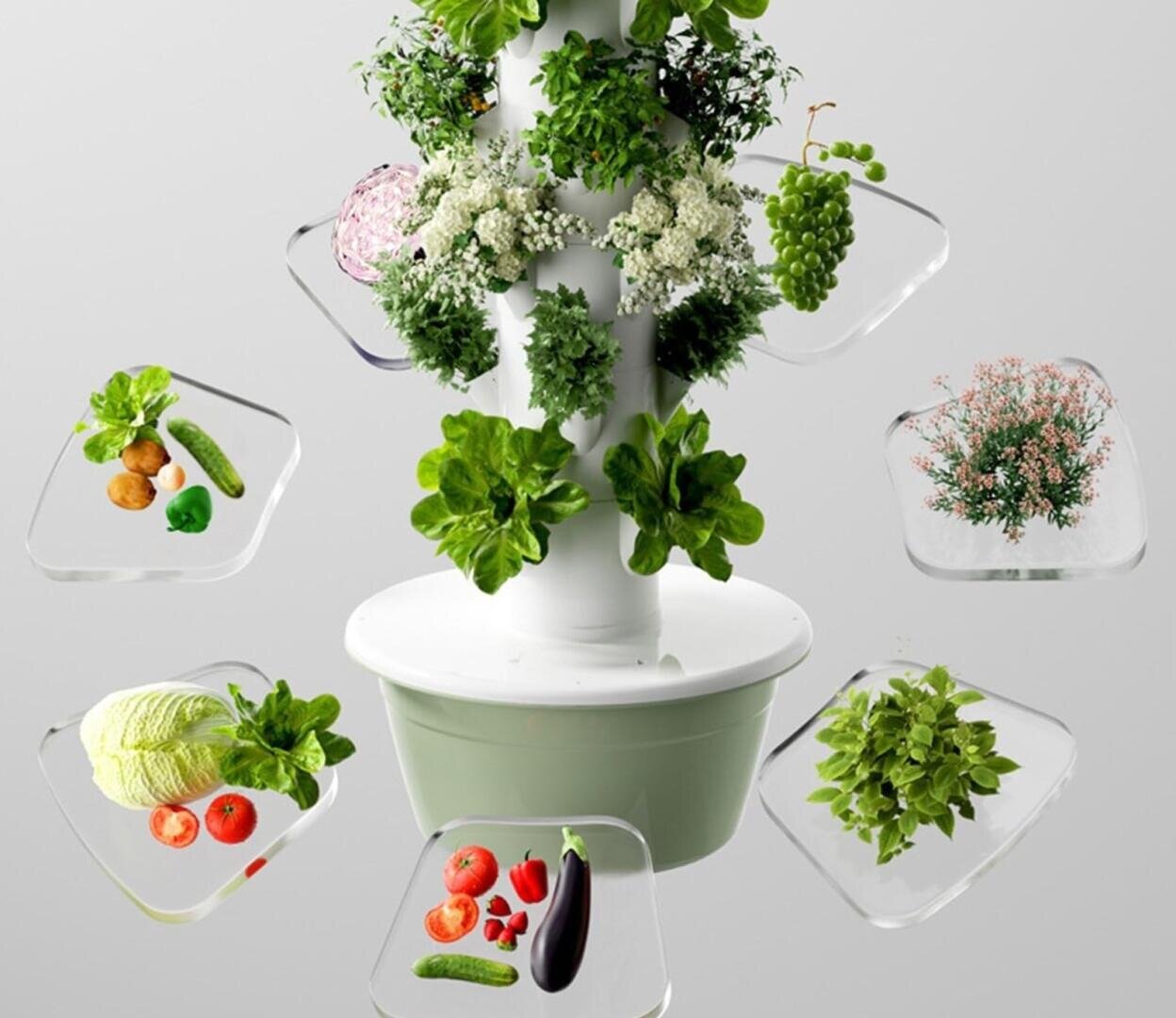 Ein vertikaler Hydrokultur-Garten mit verschiedenen Kräutern, Grünpflanzen und Gemüse, umgeben von transparenten Schalen mit frischen Produkten wie Salat, Auberginen, Tomaten, Gurken und Trauben, vor einem hellen Hintergrund.