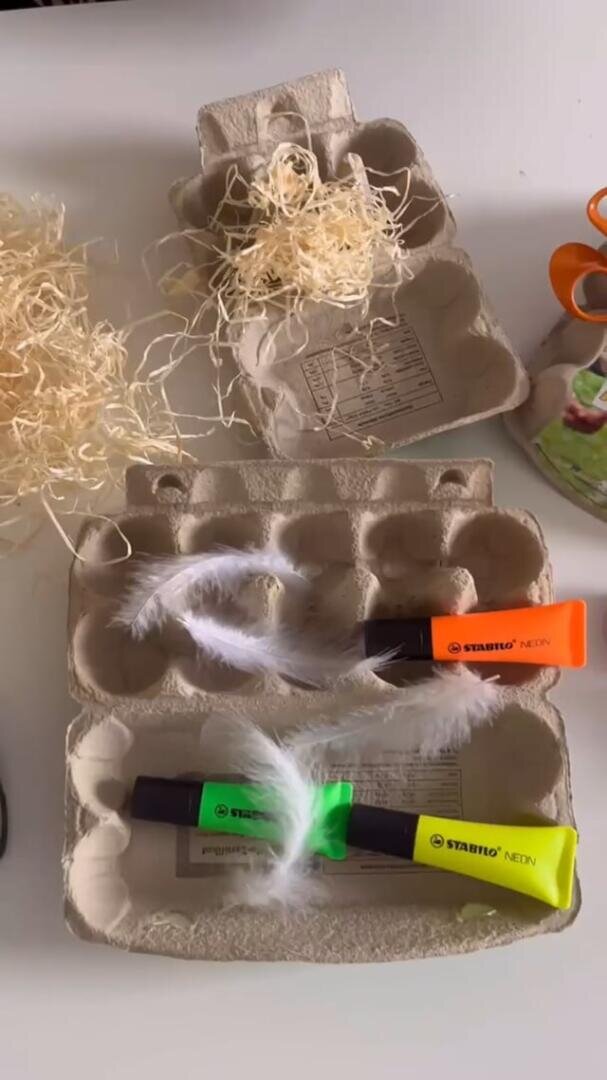 Es werden zwei geöffnete Eierkartons gezeigt. Einer enthält geschreddertes Papier, der andere zwei Textmarker (grün und orange) mit einigen weißen Federn daneben, alles auf einer weißen Fläche.