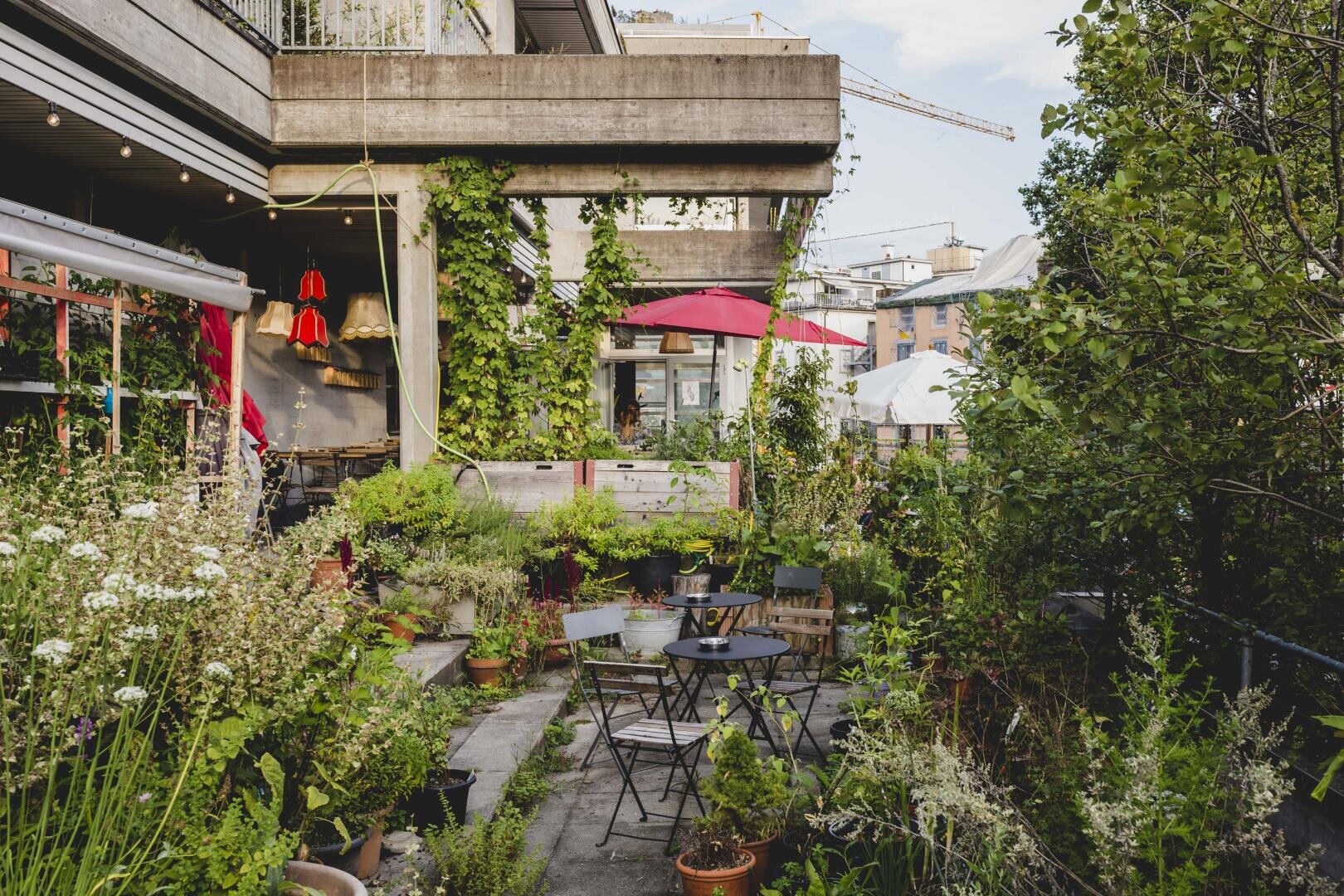 Städtische Gartenterrasse mit Topfpflanzen, Blumen und Grünzeug, umgeben von Tischen und Stühlen im Freien. Lichterketten und ein roter Regenschirm sorgen für Farbe, während im Hintergrund moderne Gebäude zu sehen sind.