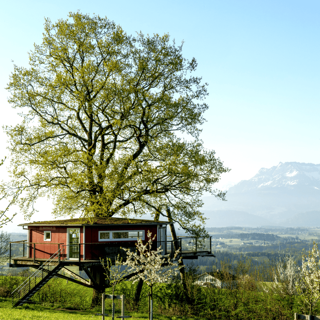 Ein rotes Baumhaus mit großen Fenstern ist um einen robusten Baum herum gebaut und steht auf Stelzen über einem grasbewachsenen Hügel. Blühende Bäume und ferne Berge sind unter einem klaren blauen Himmel zu sehen.
