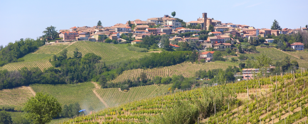 Preli, das Weingut im Piemont