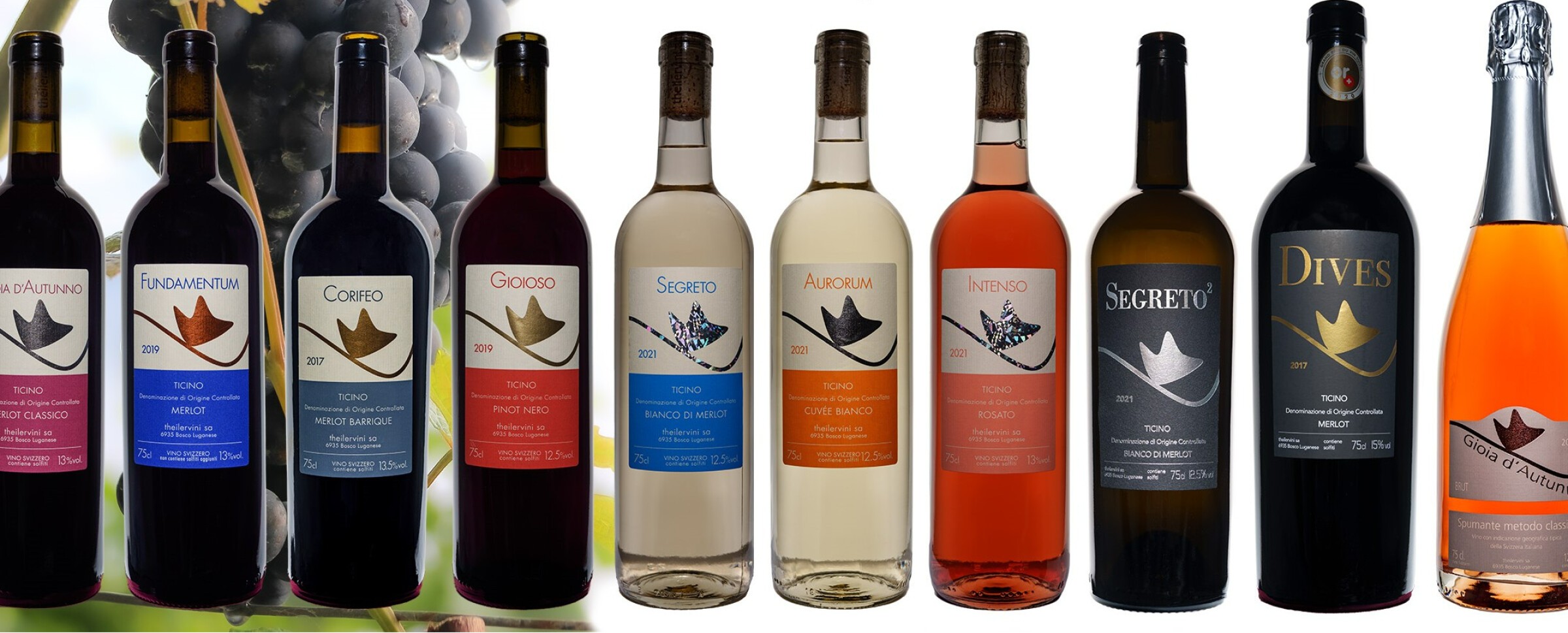 theilervini - Weinbau und Weinproduktion/Kurse im Tessin