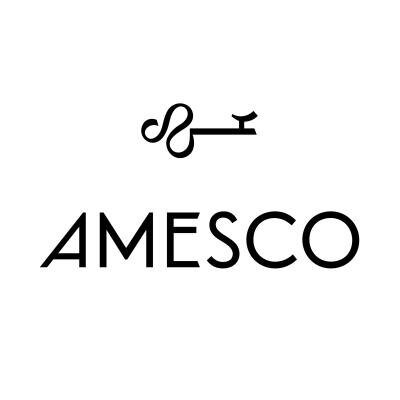 Logo Amesco AG