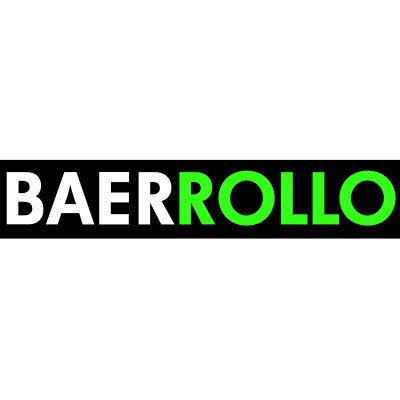Logo Baer Rollo Insektengitter & Schädlingsbekämpfung