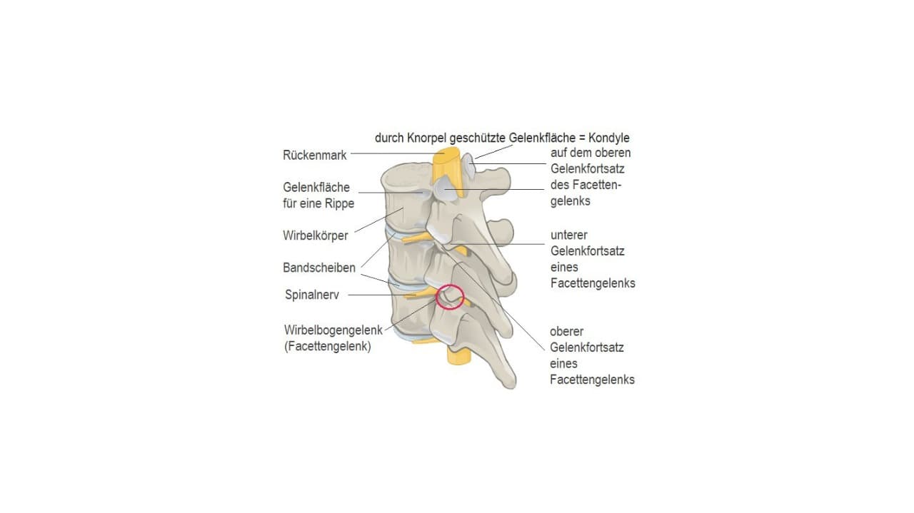 Schlafen Sie Ihre Rückenschmerzen weg