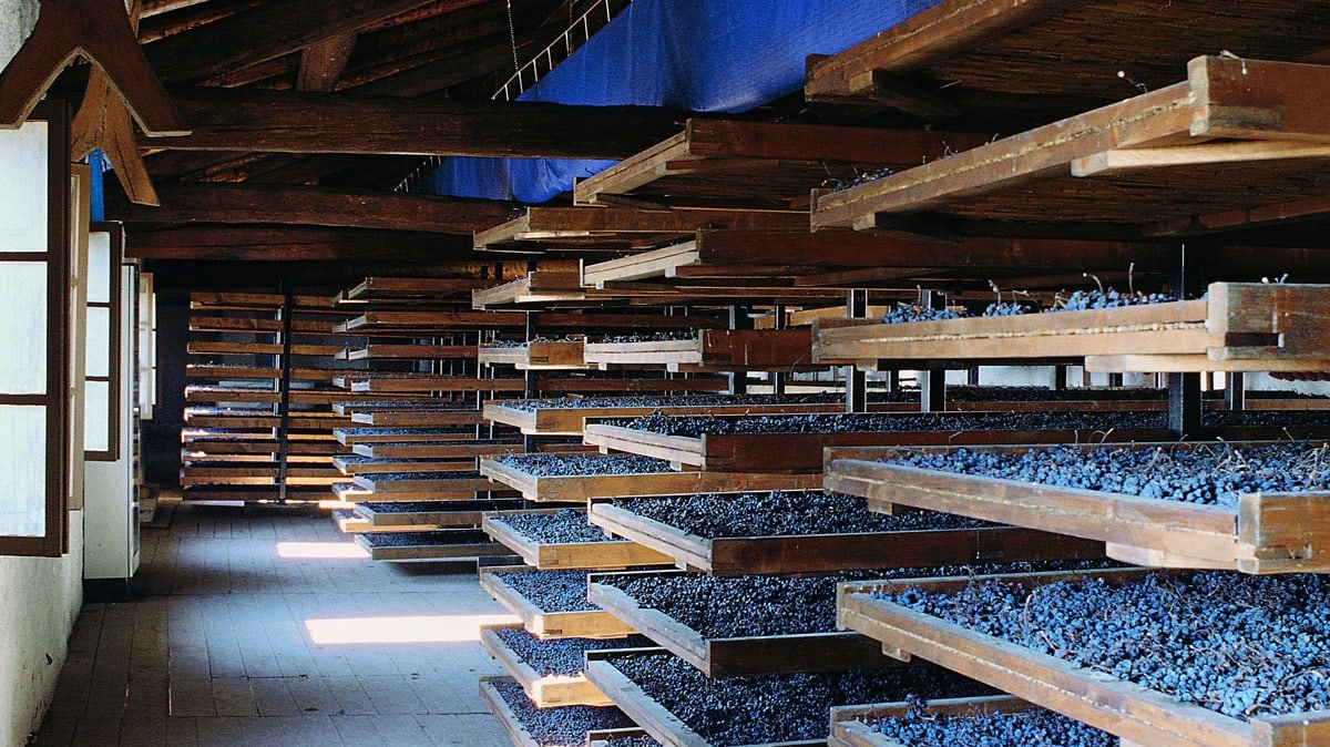 Lagerung der Nebbiolo Trauben auf einem gut belüfteten Dachstock.