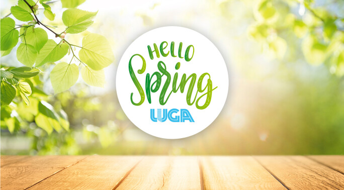 Hello_Spring_Visual_Logo.jpg (1.1 MB)