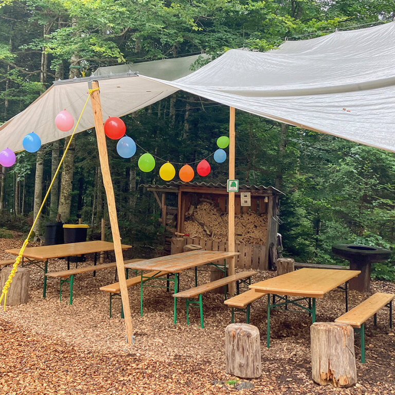 Picknickplatz im Freien mit Holzbänken und Tischen unter einer großen Plane. Bunte Luftballons hängen an einer Schnur, und Baumstümpfe dienen als Sitzgelegenheiten. Der Platz ist von Bäumen umgeben und hat einen rustikalen Holzunterstand im Hintergrund.