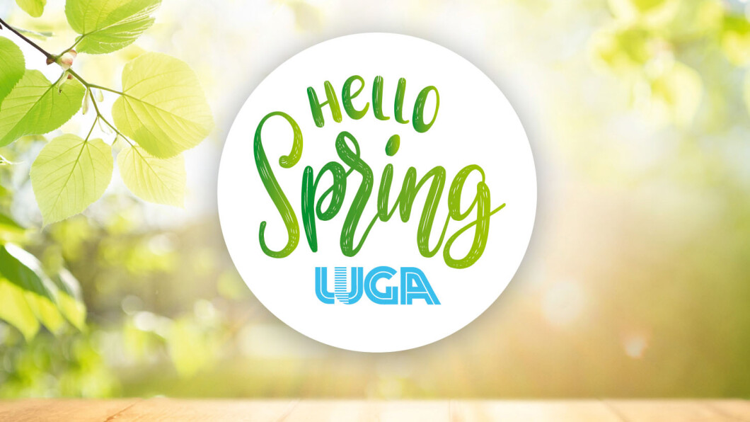 Hello_Spring_Visual_Logo.jpg (0.1 MB)