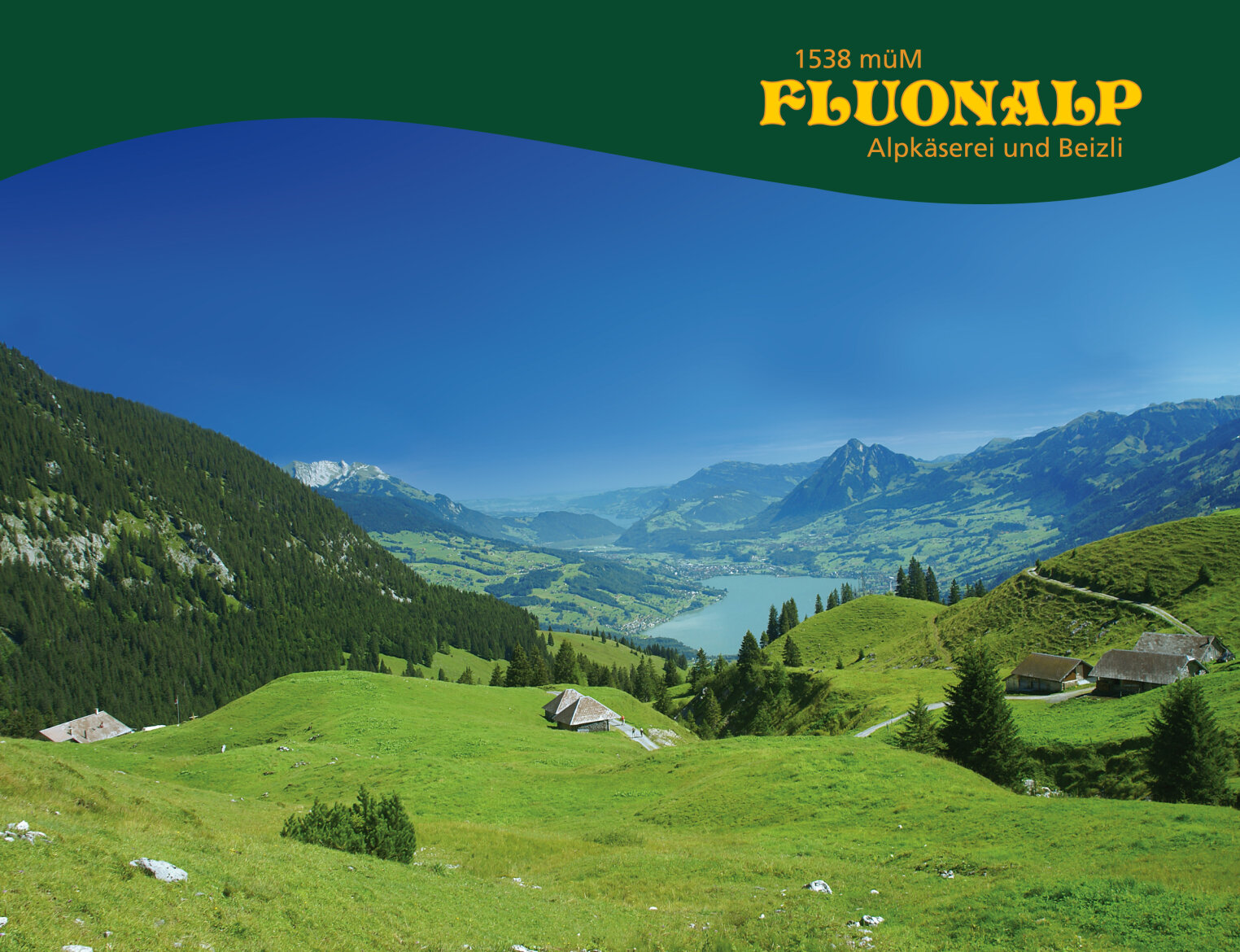 Panoramablick auf grüne Alpenhügel mit verstreuten Hütten, einem See und entfernten Bergen unter einem klaren blauen Himmel. Der Text oben rechts lautet: FLUONALP 1538 müM, Alpkäserei und Beizli.
