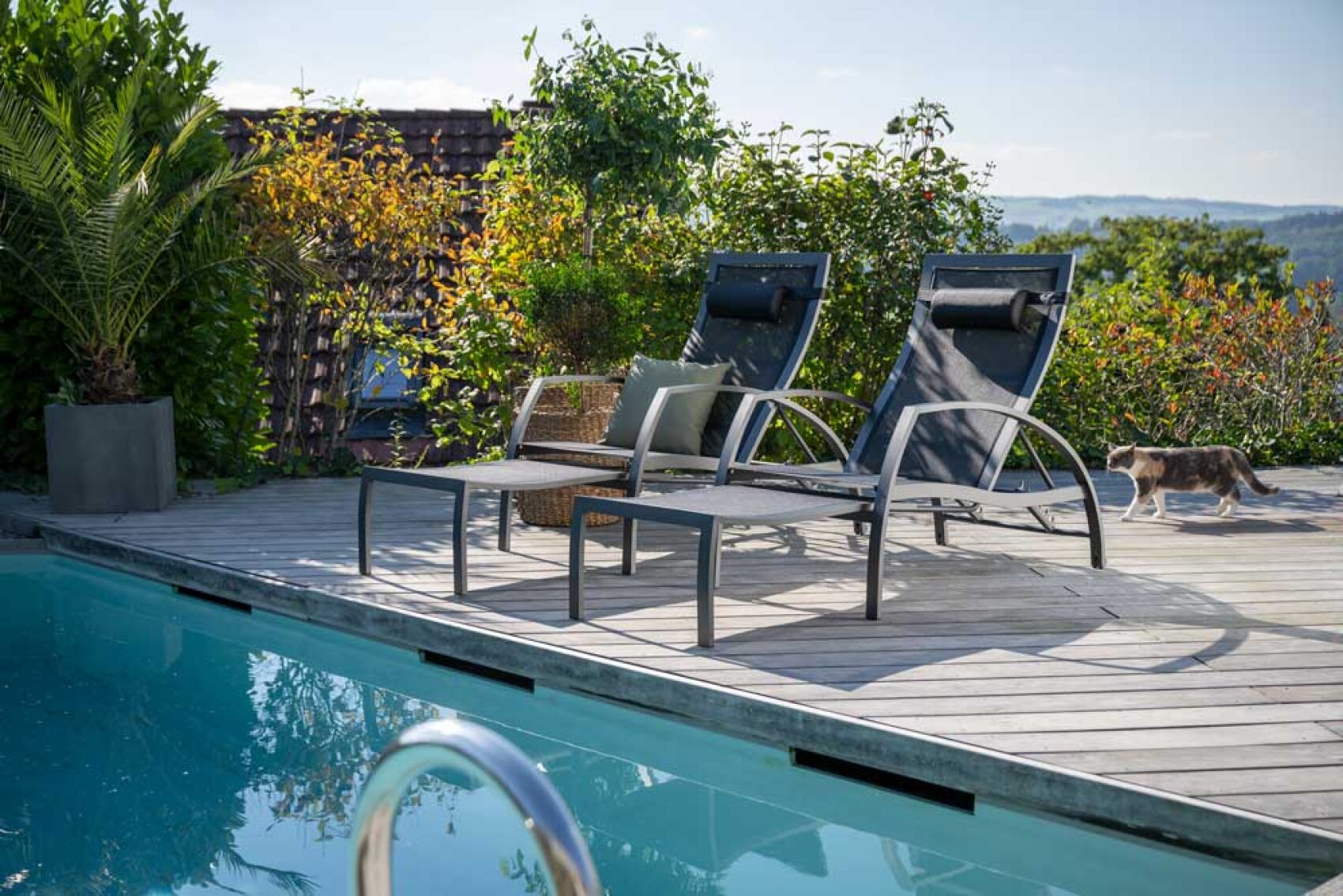 Zwei leere Liegestühle und ein kleiner Tisch stehen auf einem Holzdeck neben einem Swimmingpool, umgeben von üppigem Grün. Im Hintergrund läuft eine Katze unter sonnigem Himmel über die Terrasse.